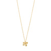 Collier Ajani Plaqué or