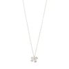 Collier Ajani Plaqué argent