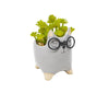 Pot à plante Chat avec lunettes