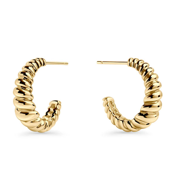Boucles d'oreille Salerno or