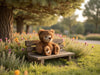 Baby Ranger – Petit ours brun en peluche de Bukowski Bears
