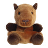Sid Capybara — Palm Pals Aurora