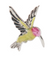 Colibri miniature Ganz aux ailes déployées, corps jaune et tête rose, bordés d’argent