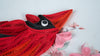 Carte de vœux cardinal rouge et fleurs de cerisier en papier roulé