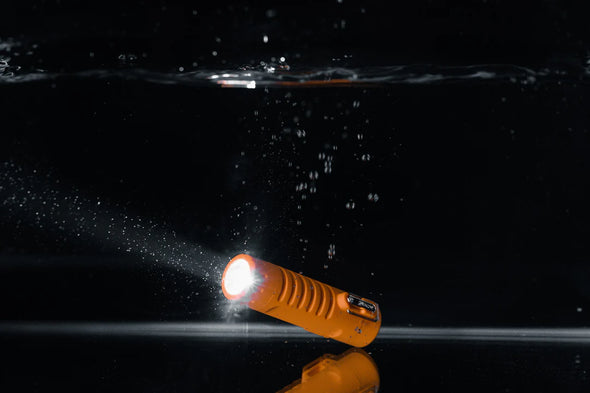 Briquet Survival