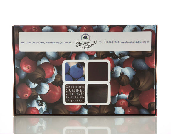 Boîte de Bleuets et de canneberges-seches enrobé de chocolat au lait belge 34%, format 160g.