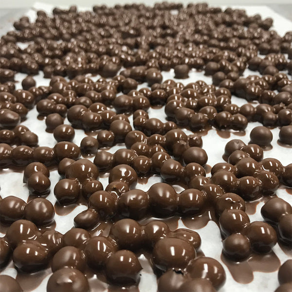 bleuets au chocolat